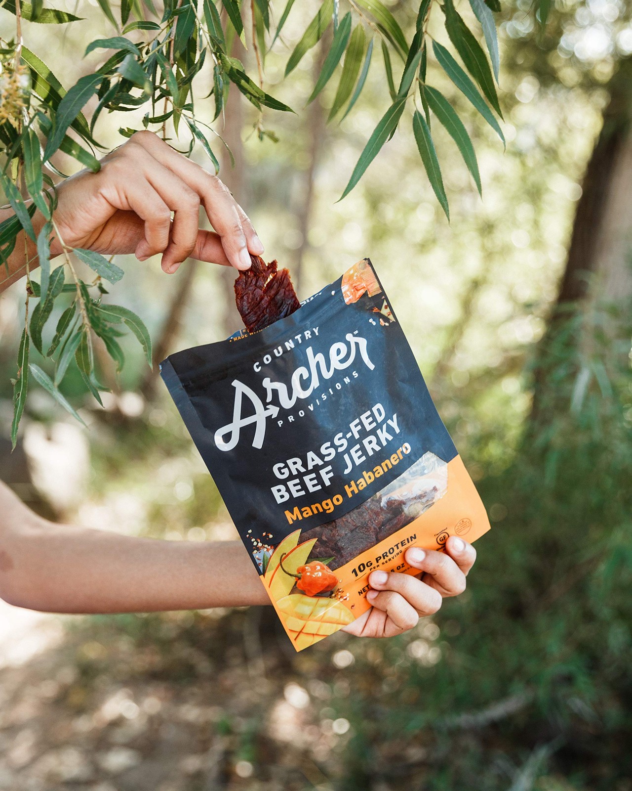 Grass-Fed Beef Jerky – Beef Jerky Snack Pack, Beef Jerky Bulk, Individual Bee…