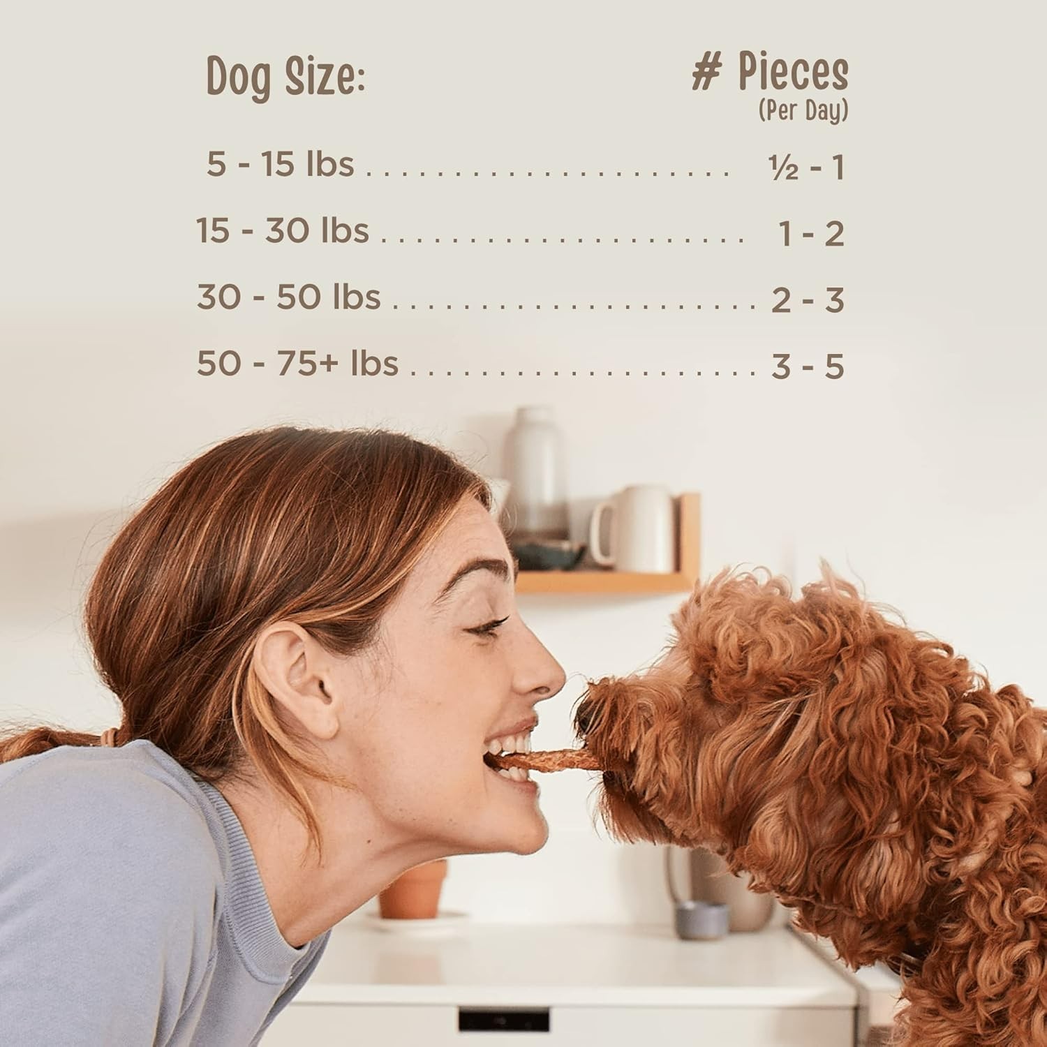24 oz Human-Grade Beef Jerky Tenders – Natural Dog Treats, Soy-Free & USA Made