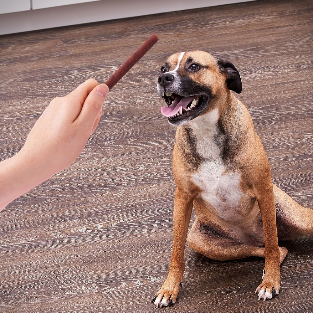 Beef Jerky Sticks, 25 Ounce, Natural Protein Snack, Ready to Eat