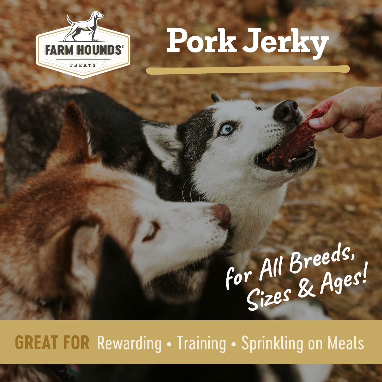 Pork Jerky Dog Treats 3.5 oz 1 Pack 100% Humanely Raised Break-to-Size Training
