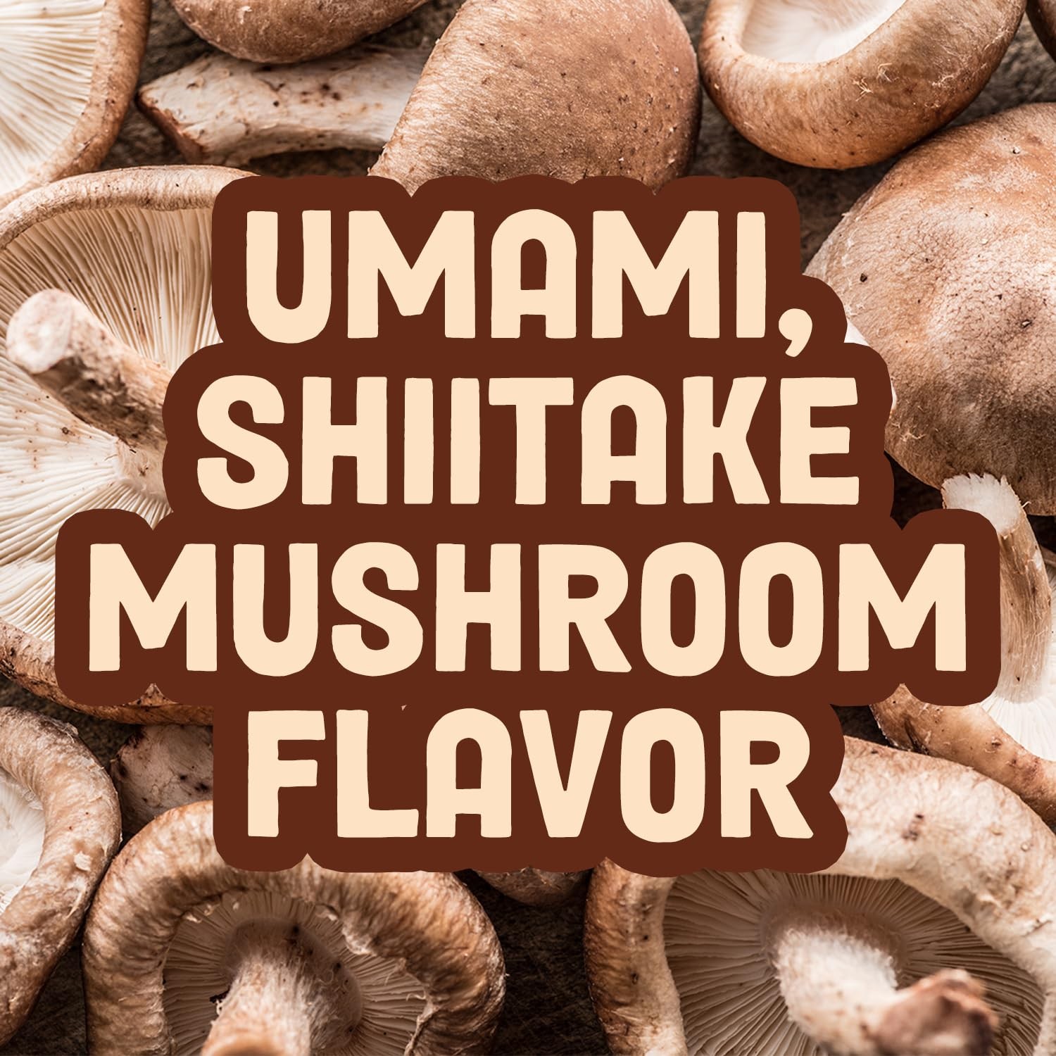Shiitake Mushroom Jerky 2.2 Ounce Pack No Meat No Soy High Fiber Vitamin D