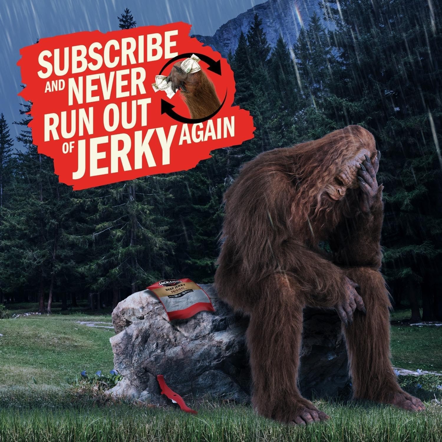 Jack Link’s Beef Jerky Variety Pack – Original and 1.25 Ounce (Pack of 9)