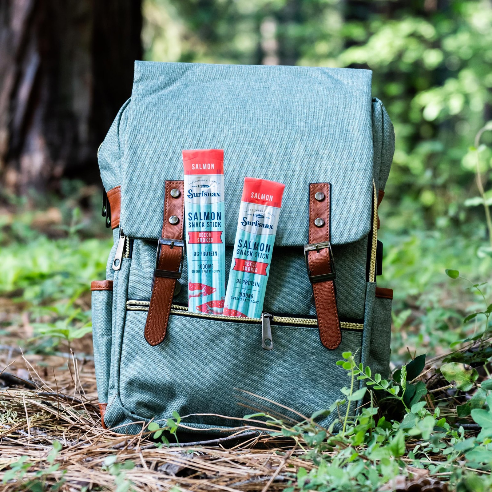 Surfsnax Salmon Jerky Snack Sticks Sustainably Farmed Beechwood Smoked Salmo…