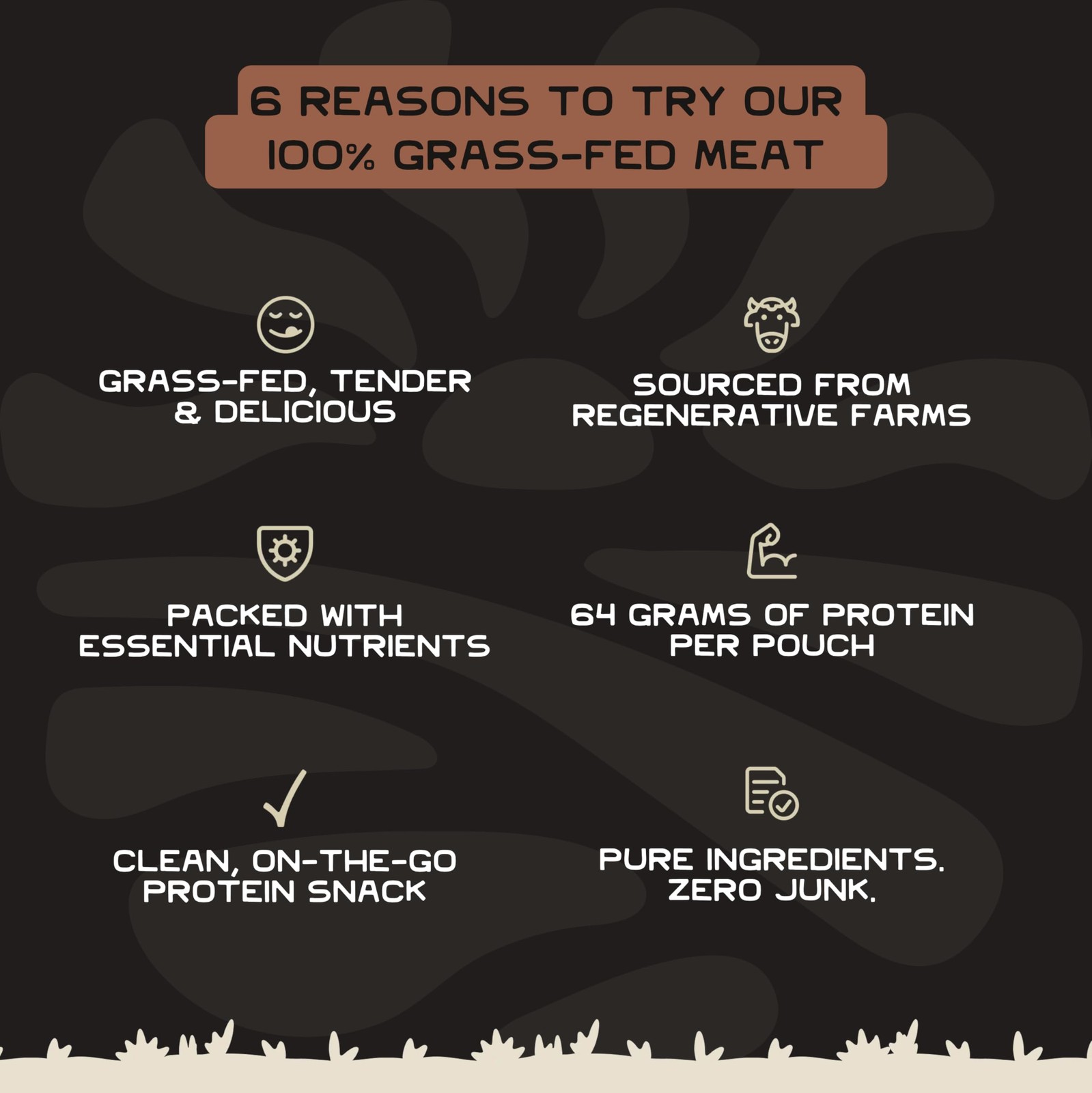 Lineage Provisions 100 Grass Fed Air-Dried Steak – Nutrient-Dense Carnivore S…