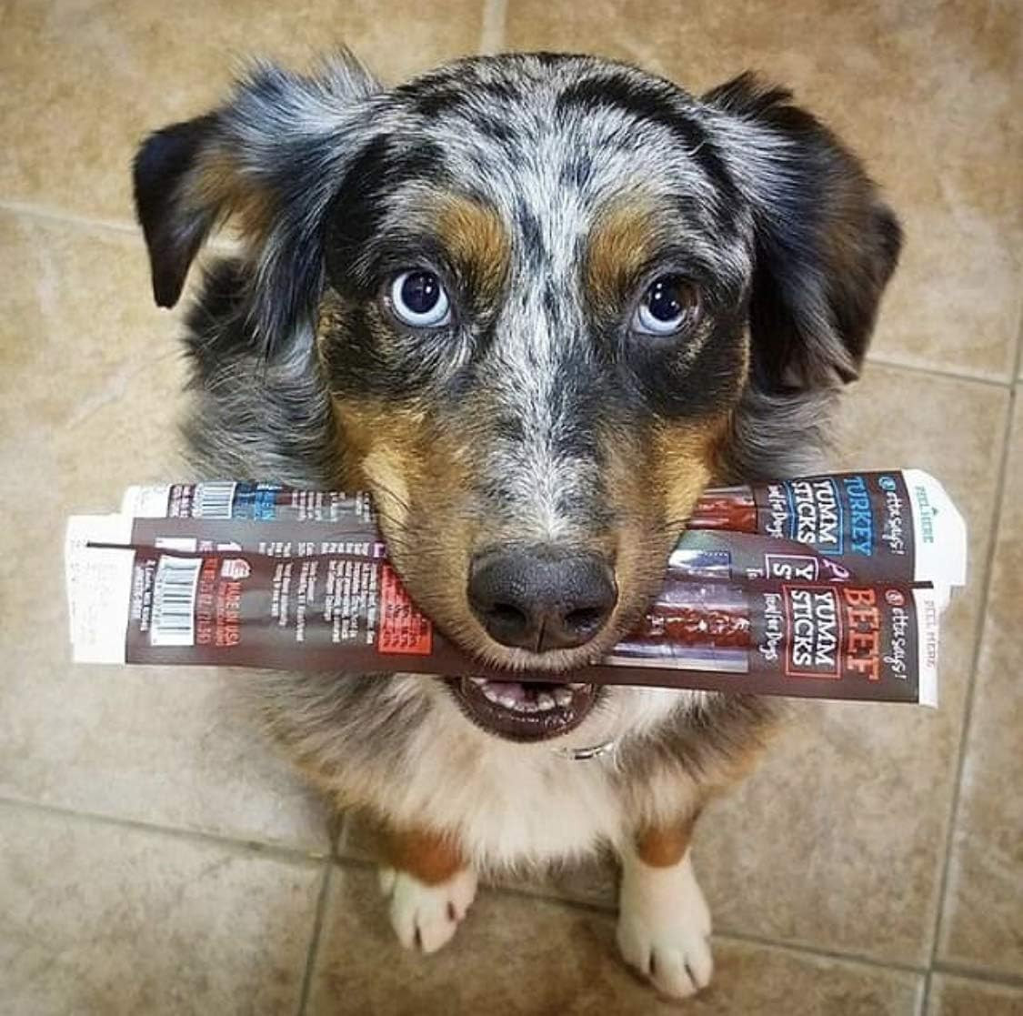 Yumm Sticks – Real Meat Jerky Dog Jerky Treats – Beef, Chicken, Pork, and Turkey