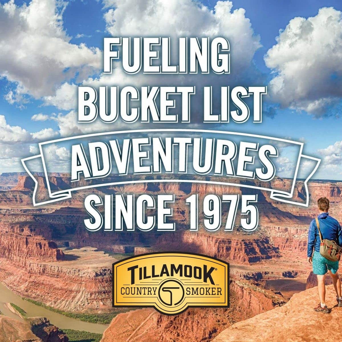 Tillamook Country Smoker Real Hardwood Smoked Beef 10 Ounce (Pack of 1)