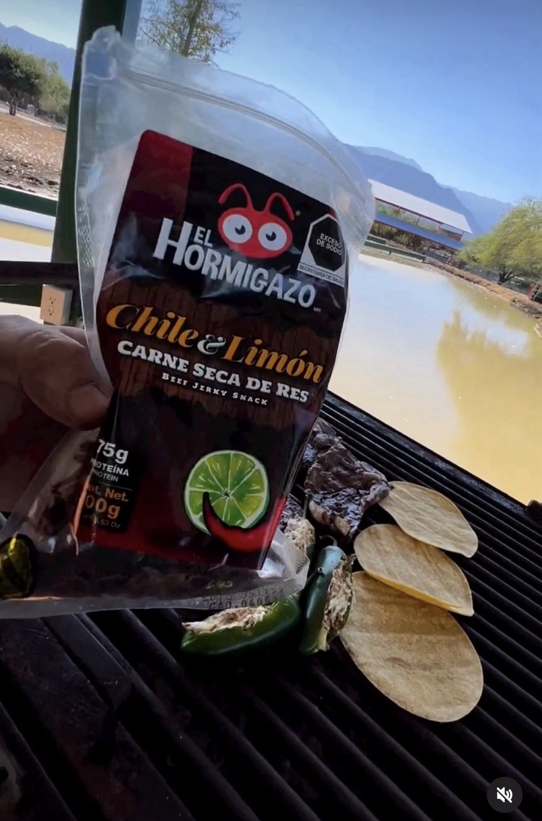 Carne Seca “El Hormigazo” Chile Y Limón Beef Jerky Crispy Premium