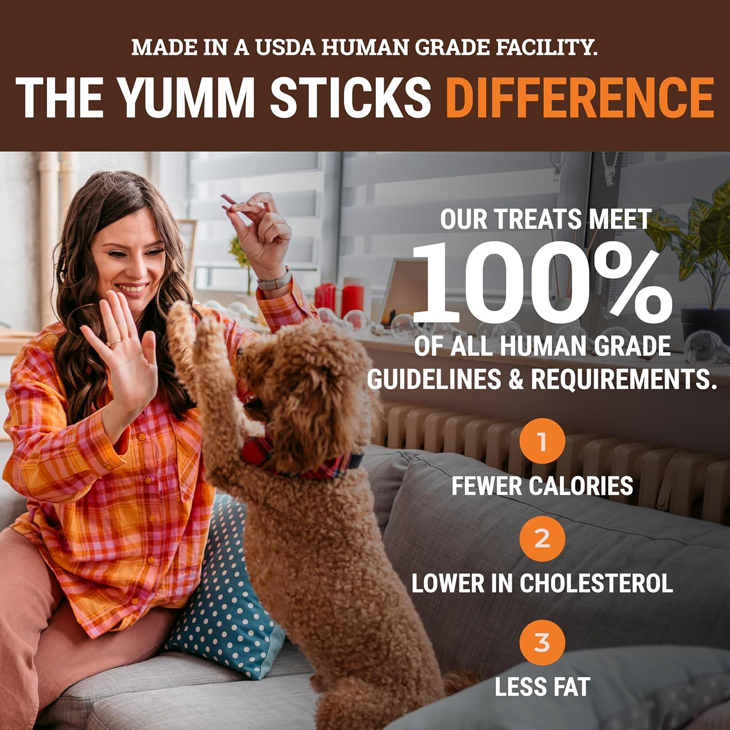 Yumm Sticks – Real Meat Jerky Dog Jerky Treats – Beef, Chicken, Pork, and Turkey